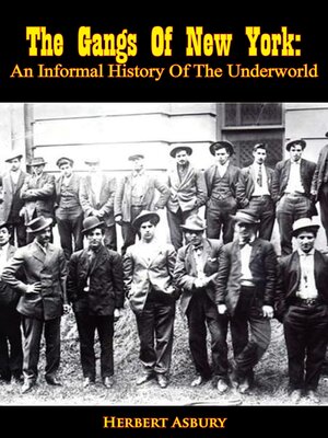 cover image of The Gangs of New York